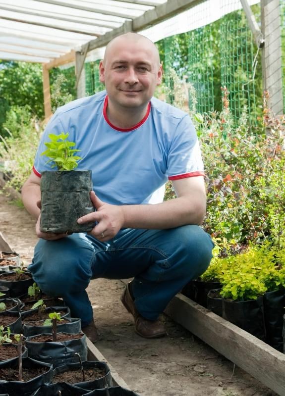 Person kneeling in a greenhouse holding a small potted plant with rows of plants around.