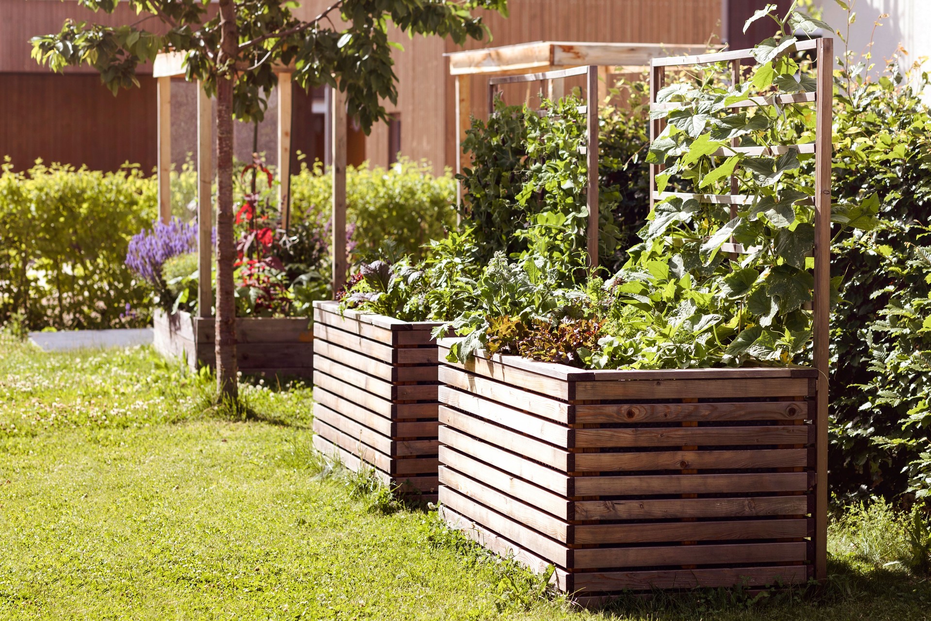 Raised Bed for Growing Fresh Vegetables