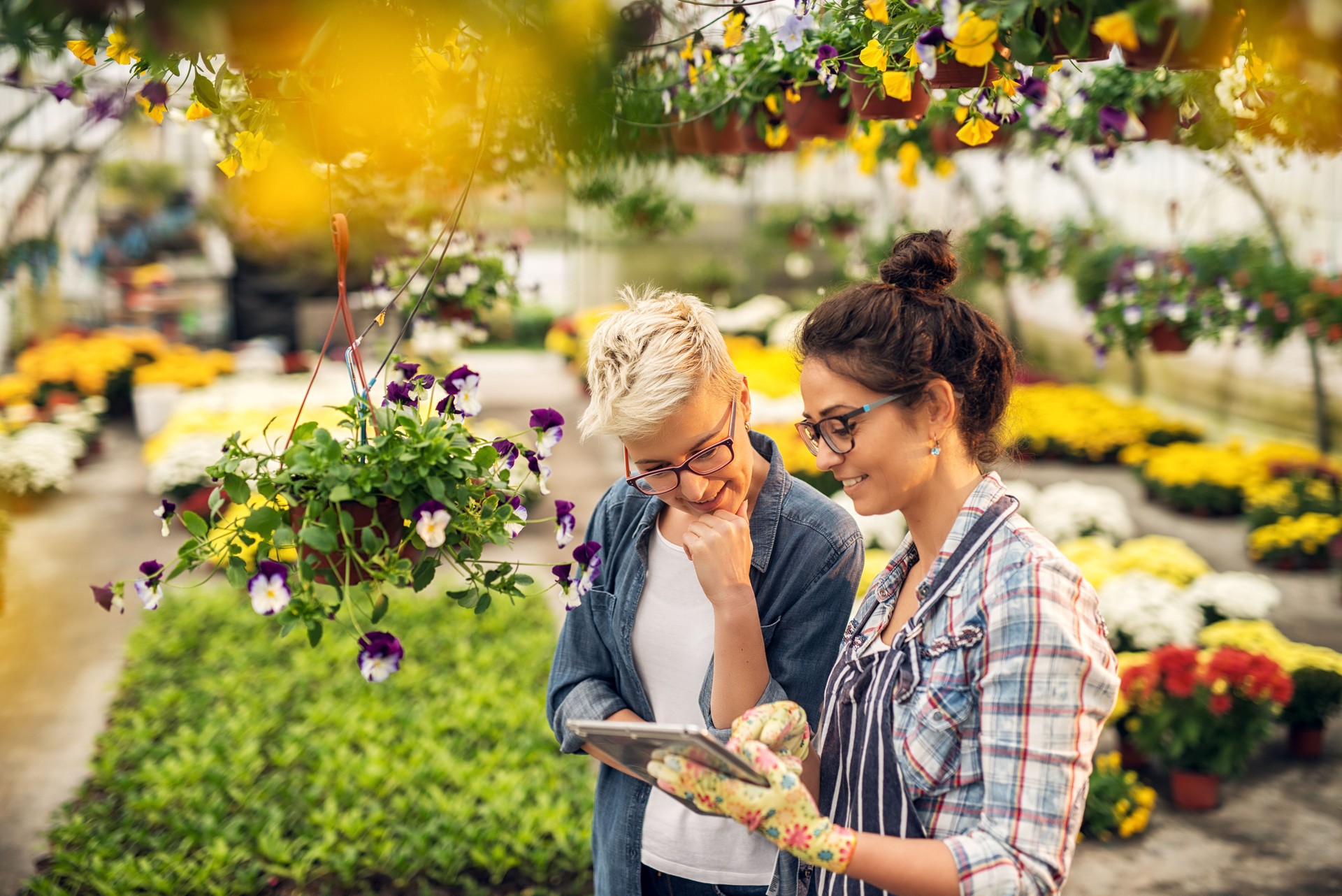 Garden Maintenance & Full-Service Packages