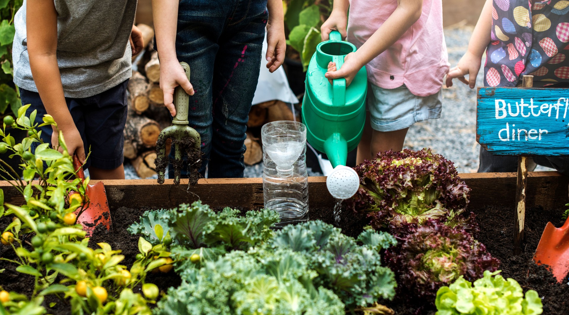 Group of kindergarten kids learning gardening outdoors