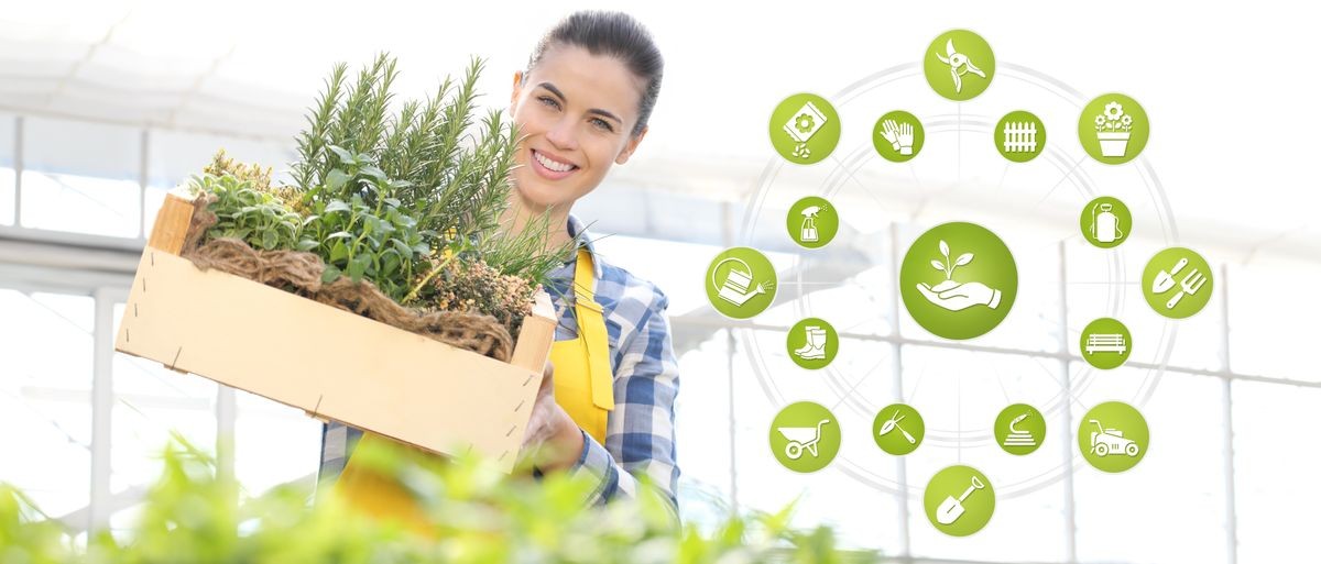 gardening equipment e-commerce icons, smiling woman with wooden box full of spice herbs on white background, spring garden concept