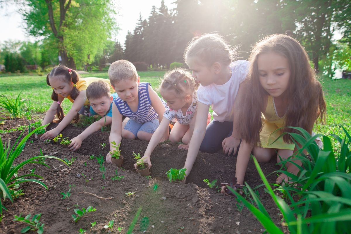 a group of children is planting trees in the park